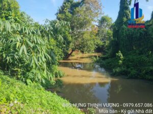 Giới thiệu lô đất 1500m2 view Sông Buông Trảng Bom