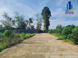 Giới thiệu lô đất 1500m2 view Sông Buông Trảng Bom